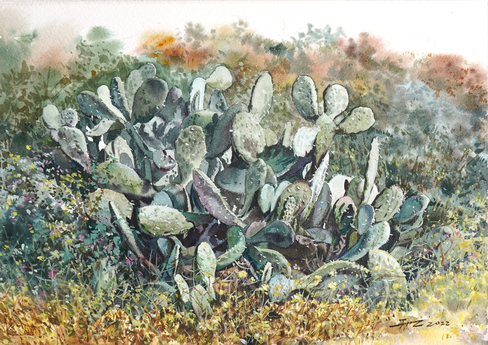 Watercolor Cactus Painting Series - Zebra Cactus With Brusho Crystals